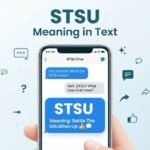 stsu-meaning-in-text